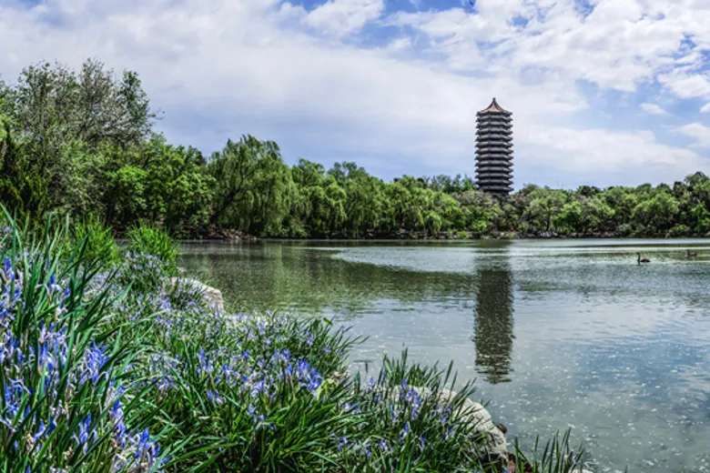 Кампус Peking University